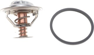 Motorad 302-82K