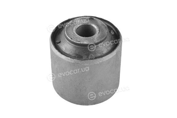 Tedgum 00025557