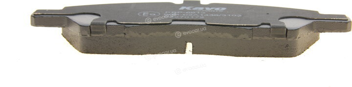 Kavo KBP-6613
