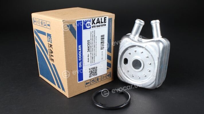 Kale 344355