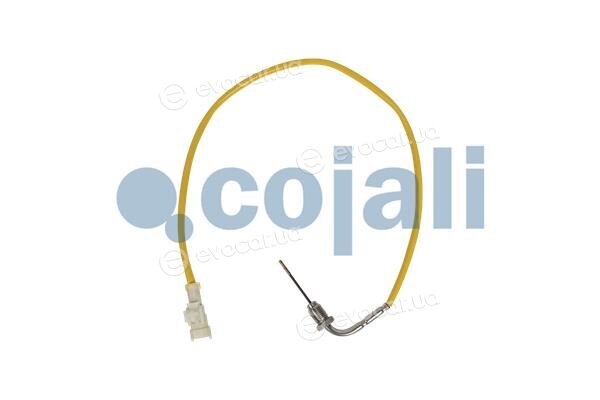 Cojali 2262019