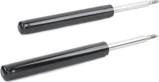Ridex 854S1695