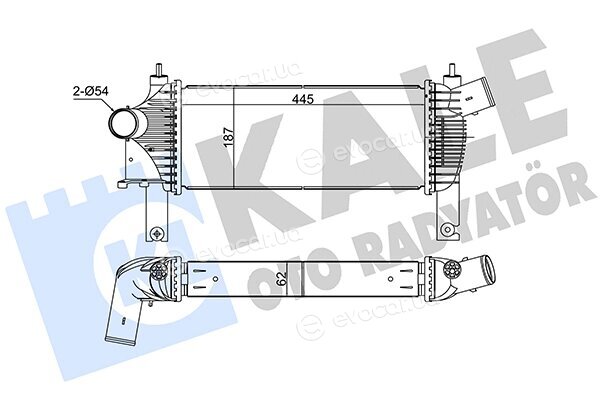 Kale 342355