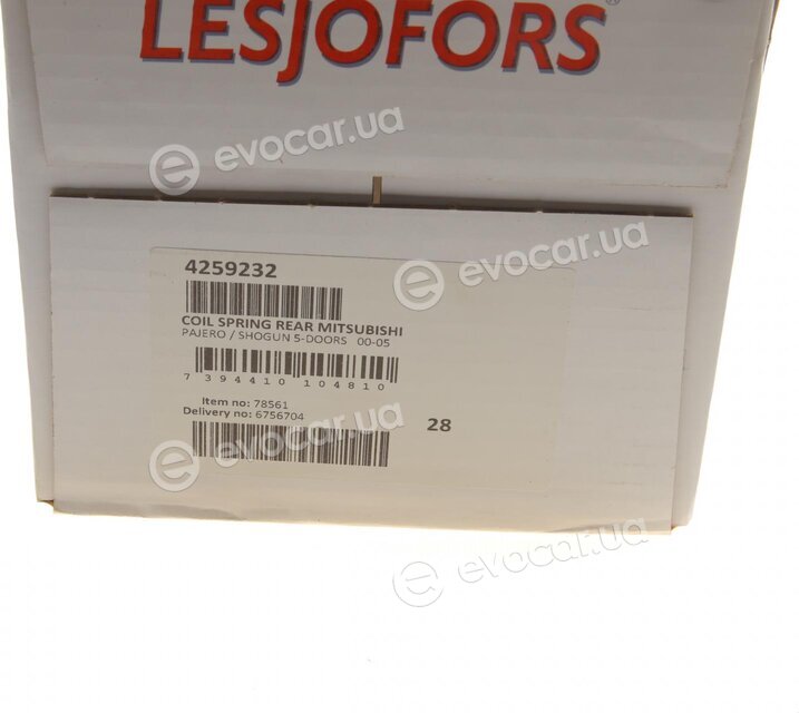 Lesjofors 4259232