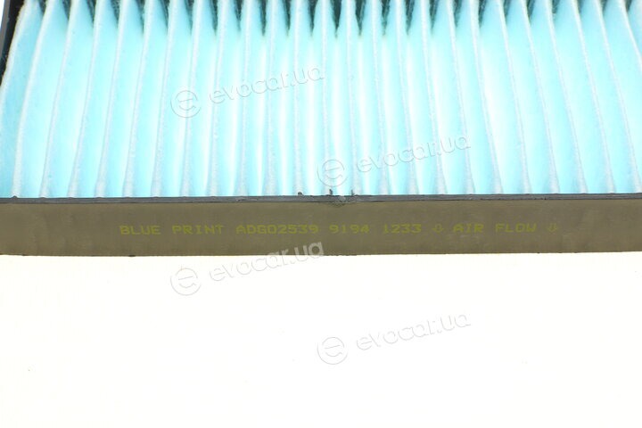 Blue Print ADG02539
