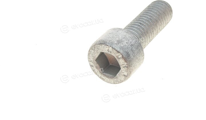 Gates K025557XS