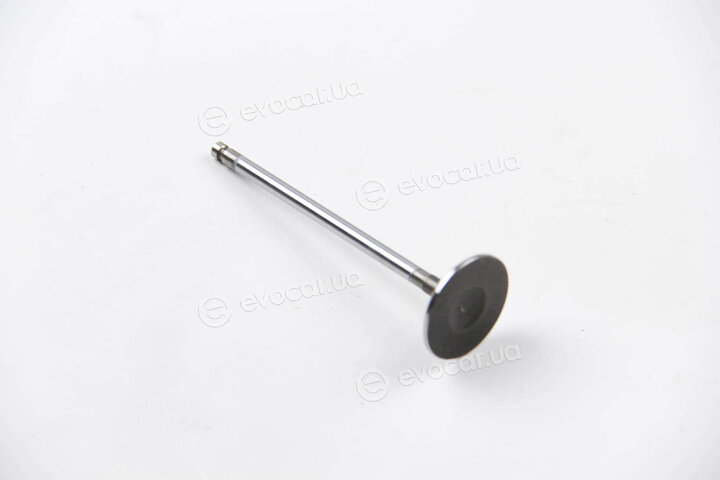 BGA V165400
