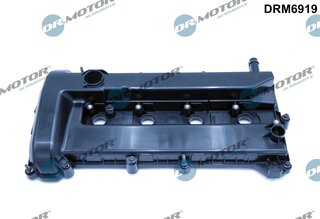 Dr. Motor DRM6919