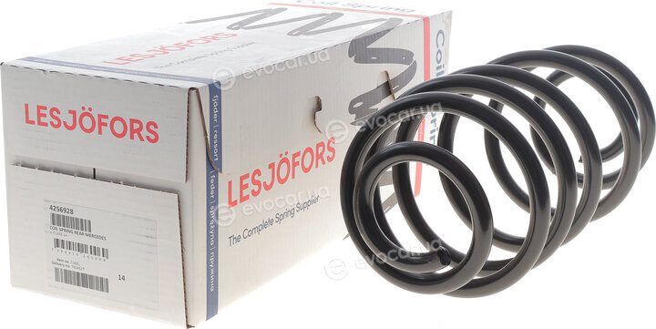 Lesjofors 4256928
