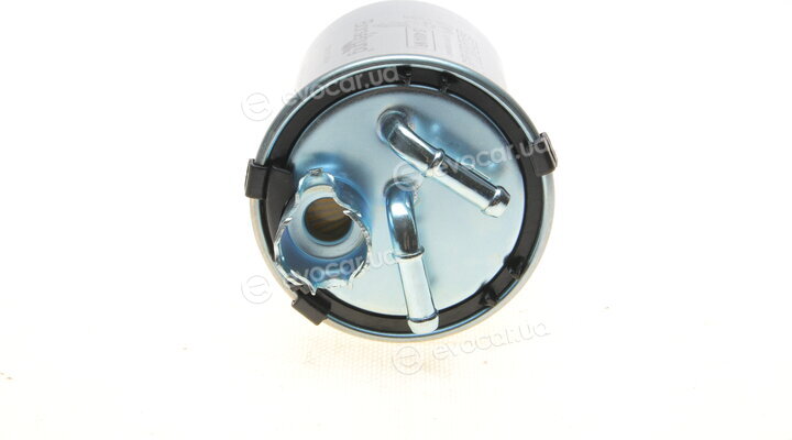 Borsehung B10474