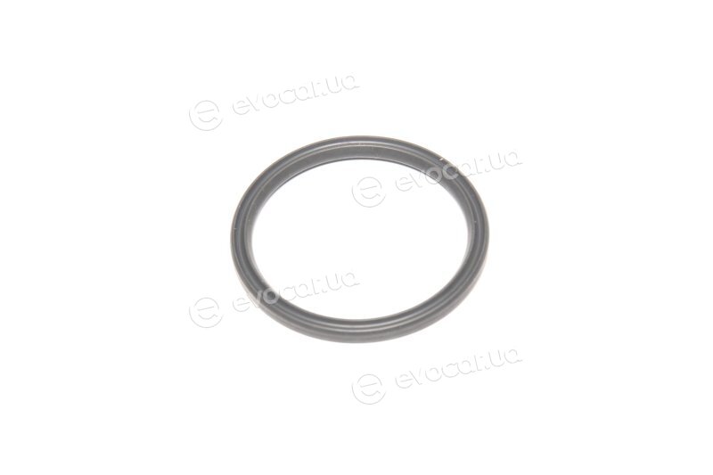 Elring 351.210
