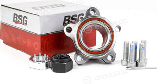 BSG BSG 30-600-005