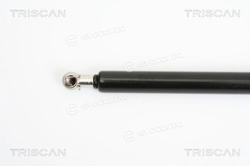 Triscan 8710 25229