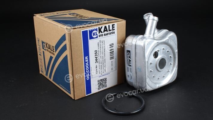 Kale 344350