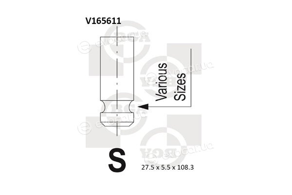 BGA V165611