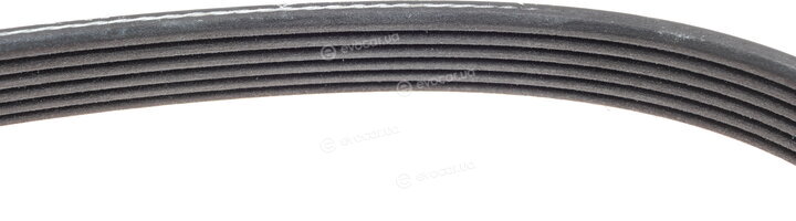 Dayco 6PK2440