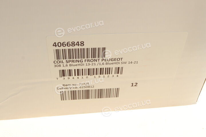 Lesjofors 4066848