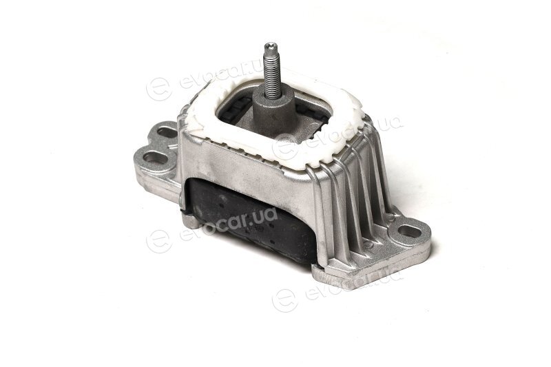 Sasic 2700094