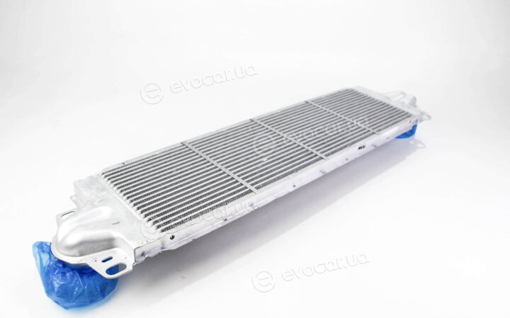 Mahle CI 80 000P