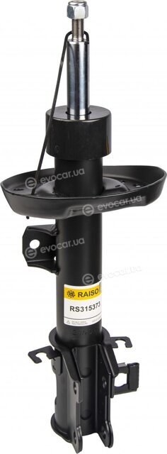 Raiso RS315373