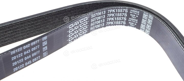 Dayco 7PK1557S