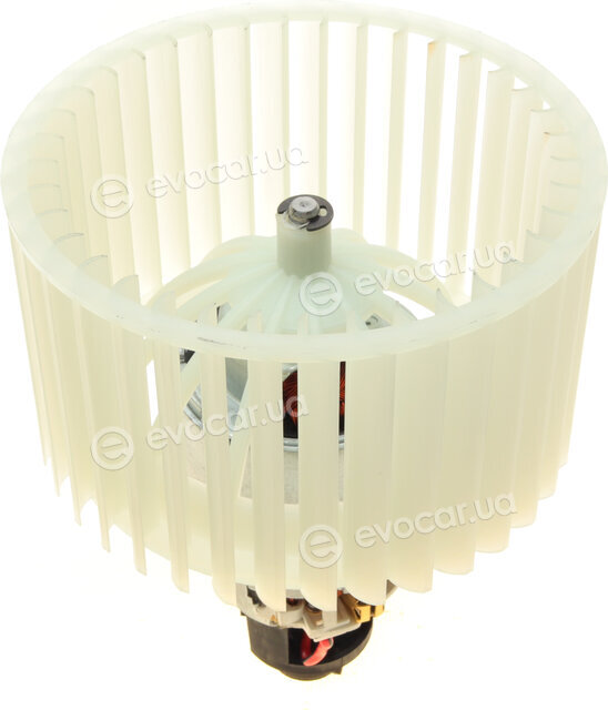 AIC 50615