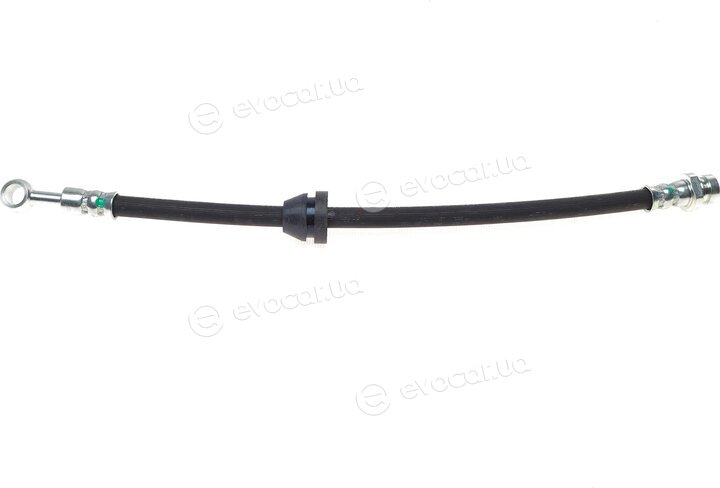 Blue Print ADG05375