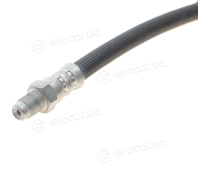 Solgy 210001