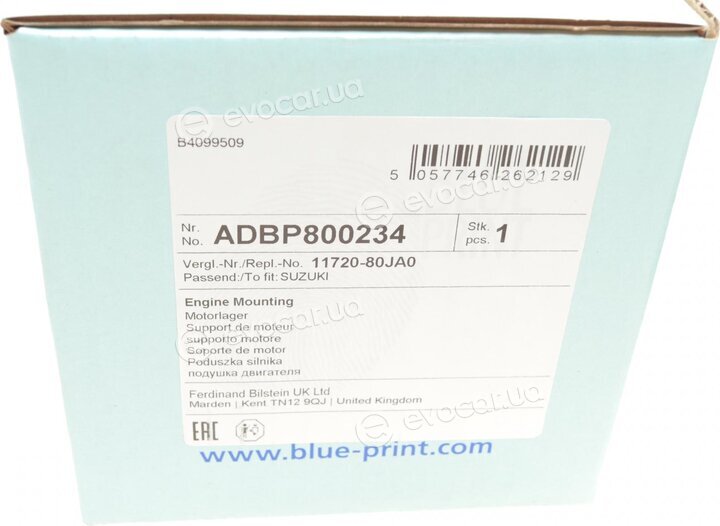 Blue Print ADBP800234