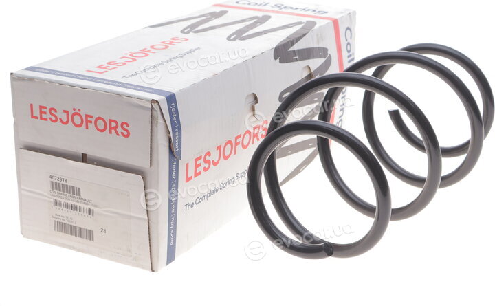Lesjofors 4072978