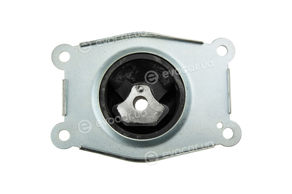 NTY ZPS-PL-031