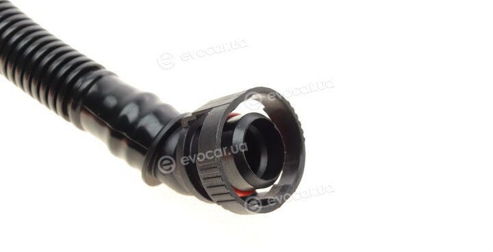 AIC 55035