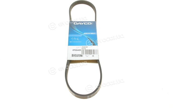 Dayco 4PK844EE