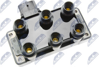 NTY ECZ-CH-019