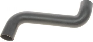 Solgy 112009