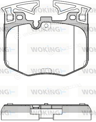 Woking P16113.00