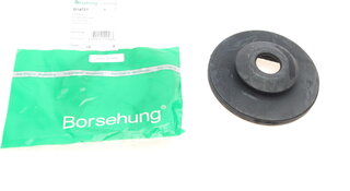 Borsehung B18721