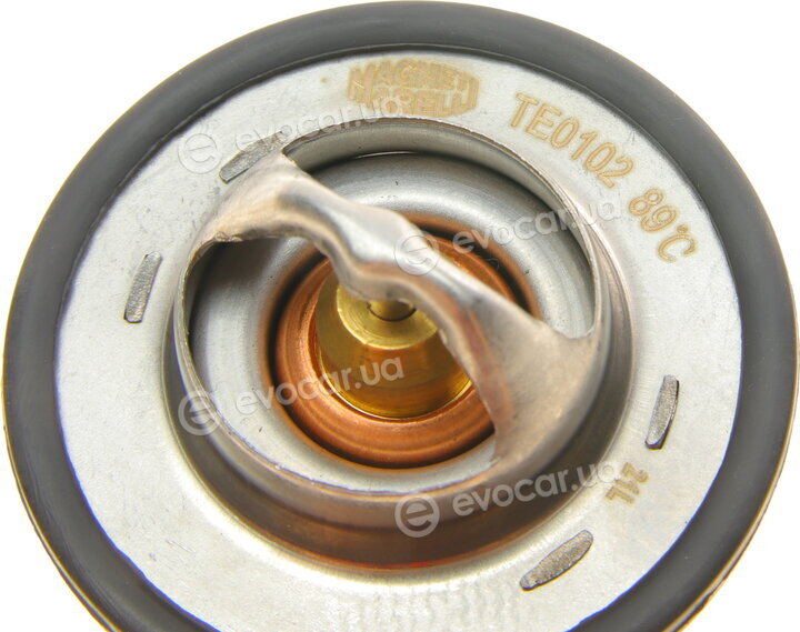 Magneti Marelli 352317101020