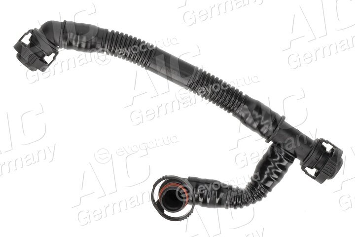AIC 55543