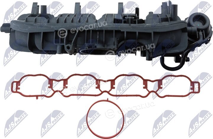 NTY BKS-VW-031