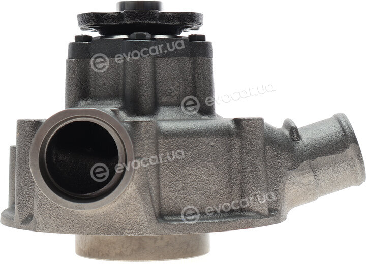 Hepu P1464