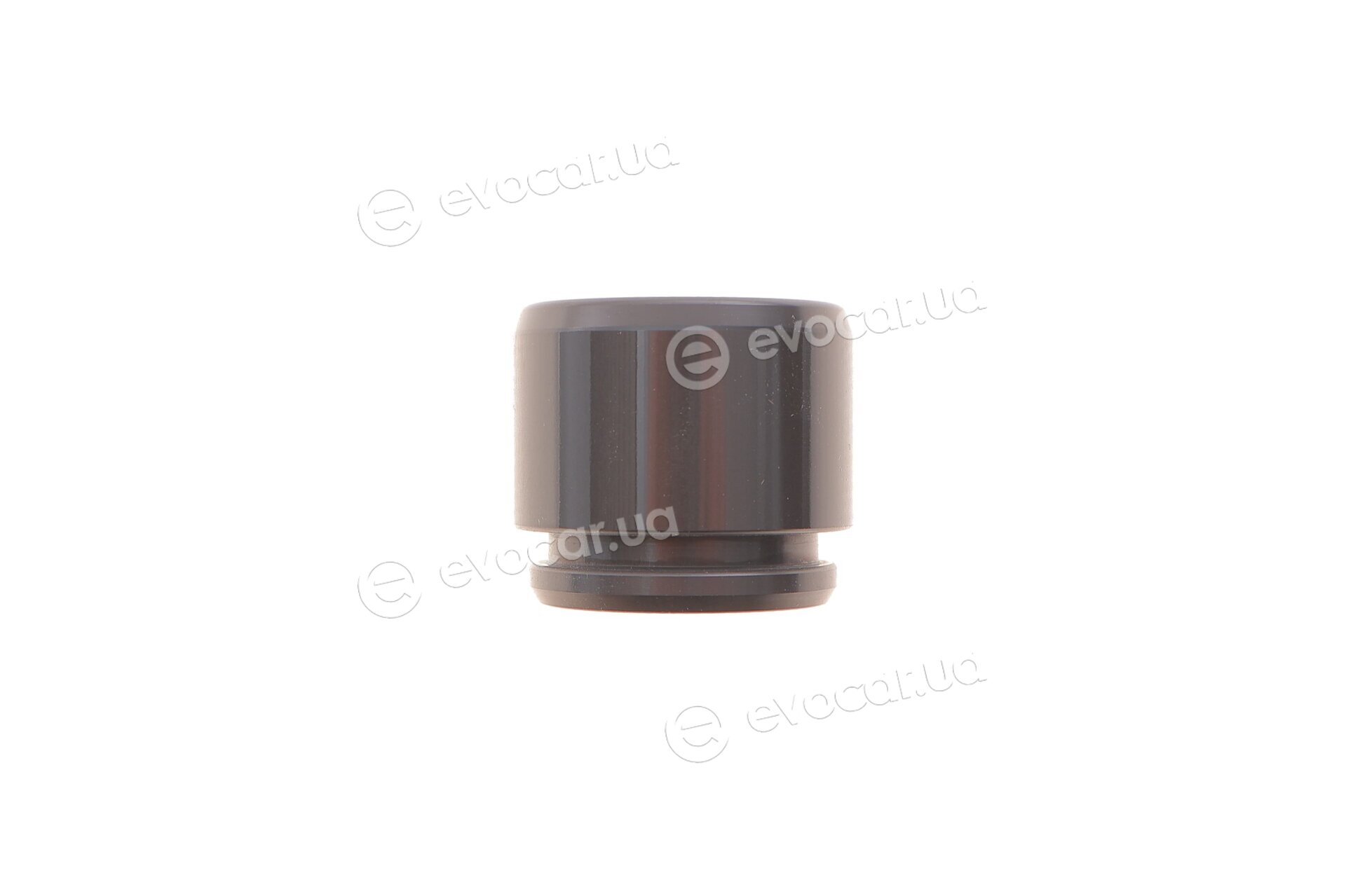 Frenkit P363101
