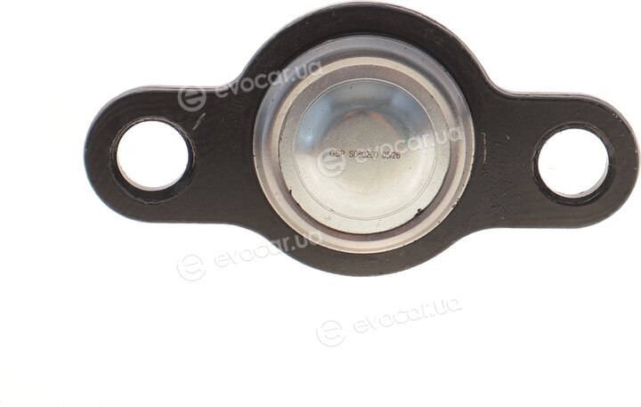 GSP S080260
