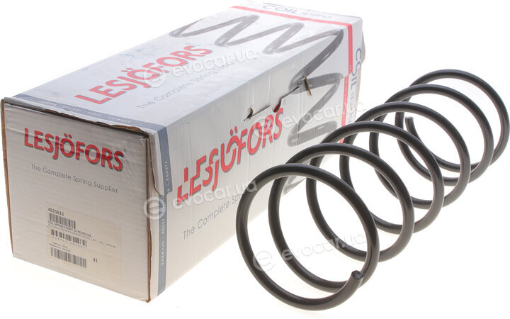Lesjofors 4015611