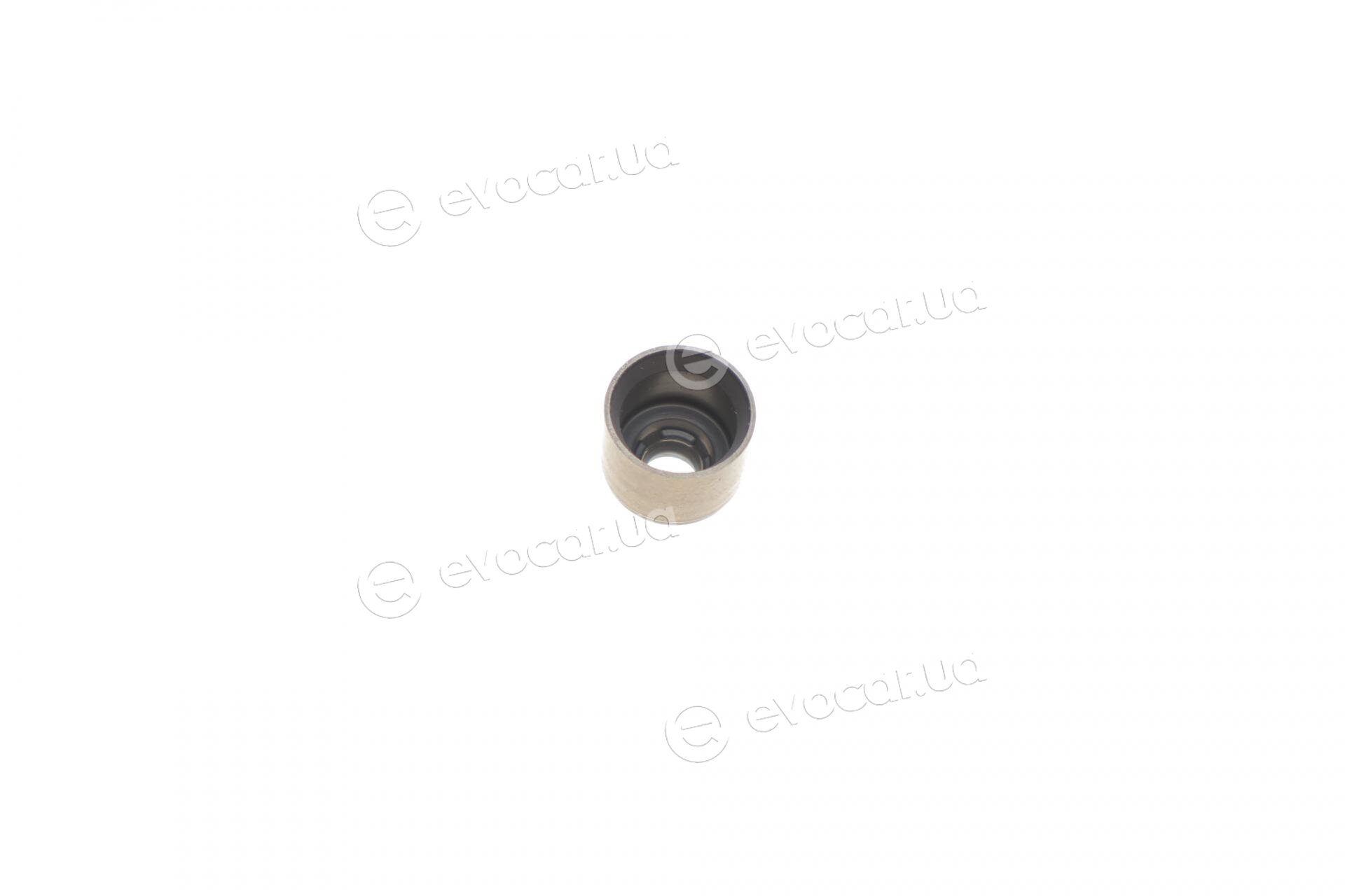 Elring 904.900