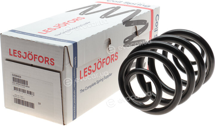 Lesjofors 5208403