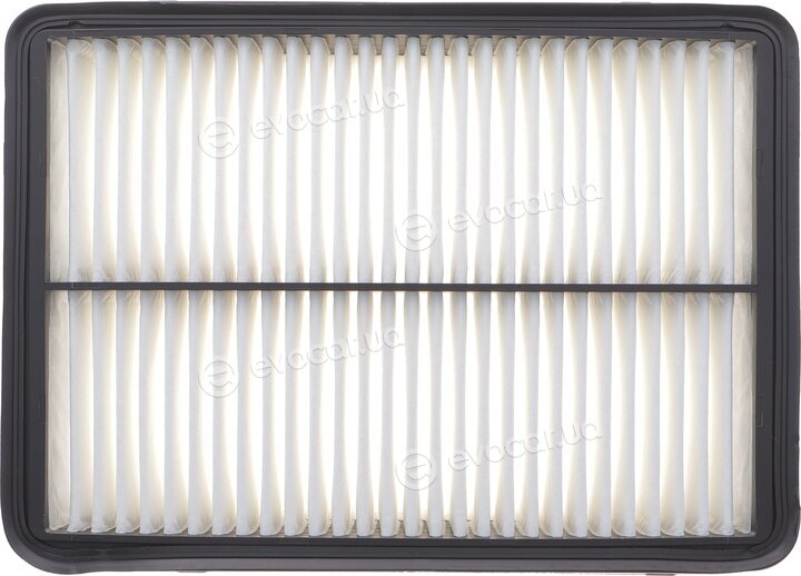 Solgy 103161
