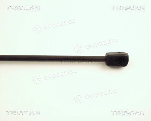 Triscan 8710 25206