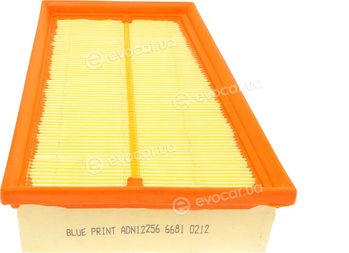 Blue Print ADN12256