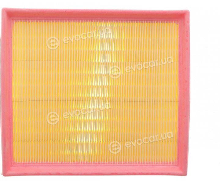Solgy 103165